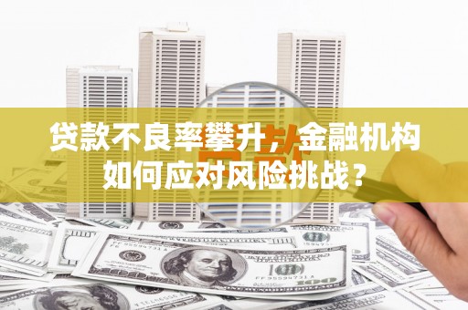 阿里贷款不良率攀升，金融机构如何应对风险挑战？