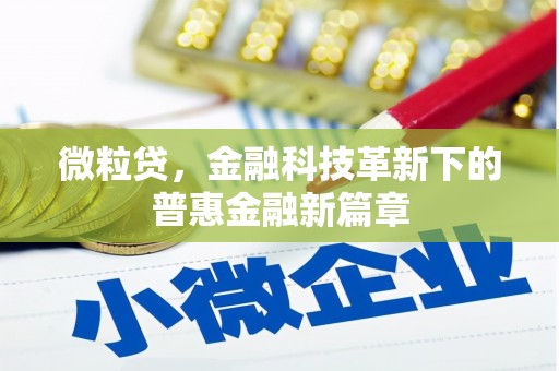 阿里微粒贷，金融科技革新下的普惠金融新篇章