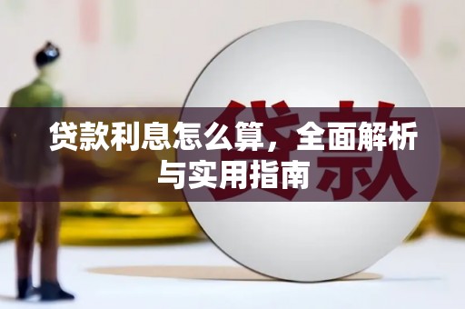 阿里贷款利息怎么算，全面解析与实用指南