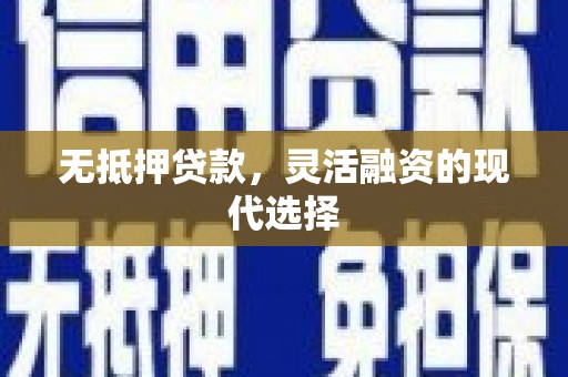 阿里无抵押贷款，灵活融资的现代选择