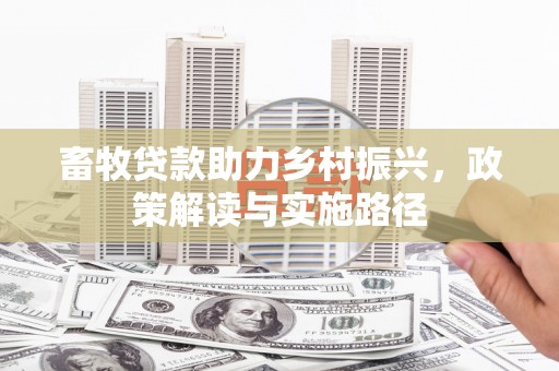 阿里畜牧贷款助力乡村振兴，政策解读与实施路径