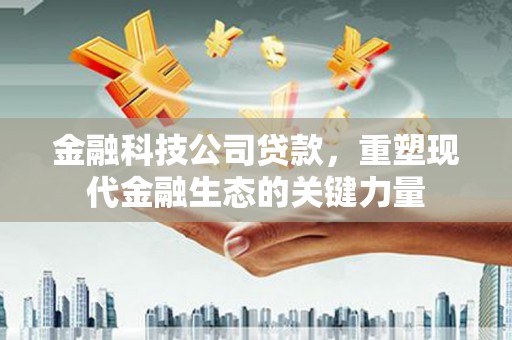 阿里金融科技公司贷款，重塑现代金融生态的关键力量