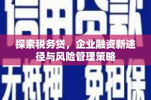 阿里探索税务贷，企业融资新途径与风险管理策略