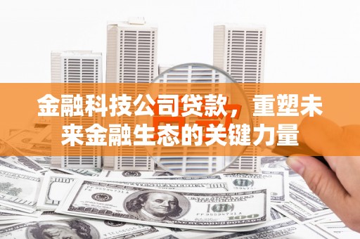 阿里金融科技公司贷款，重塑未来金融生态的关键力量