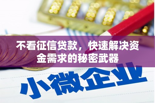 阿里不看征信贷款，快速解决资金需求的秘密武器