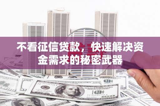 阿里不看征信贷款，快速解决资金需求的秘密武器