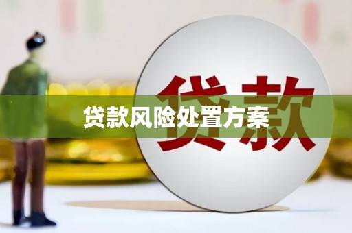 阿里贷款风险处置方案