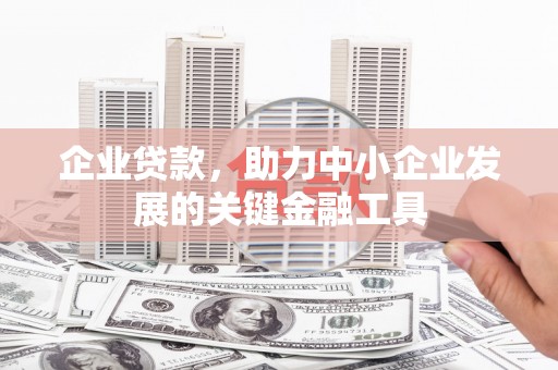 阿里企业贷款，助力中小企业发展的关键金融工具