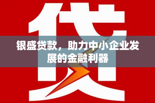 阿里银盛贷款，助力中小企业发展的金融利器