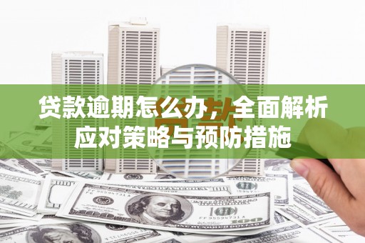 阿里贷款逾期怎么办，全面解析应对策略与预防措施