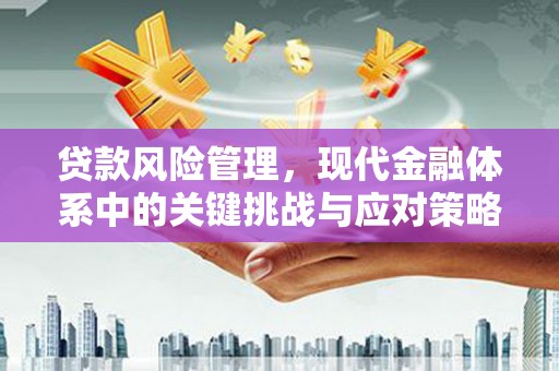 阿里贷款风险管理，现代金融体系中的关键挑战与应对策略