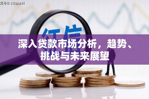 阿里深入贷款市场分析，趋势、挑战与未来展望