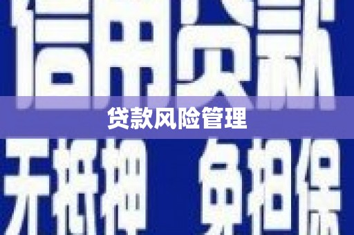阿里贷款风险管理