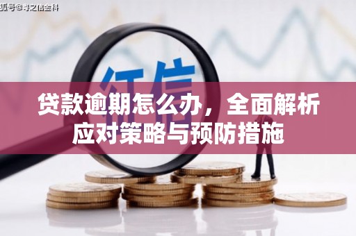 阿里贷款逾期怎么办，全面解析应对策略与预防措施