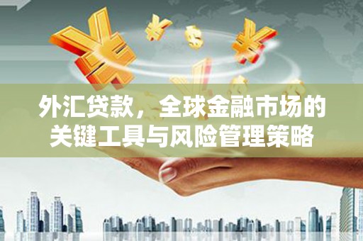 阿里外汇贷款，全球金融市场的关键工具与风险管理策略