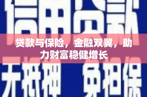 阿里贷款与保险，金融双翼，助力财富稳健增长