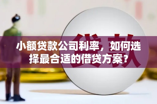 阿里小额贷款公司利率，如何选择最合适的借贷方案？