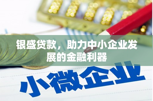 阿里银盛贷款，助力中小企业发展的金融利器