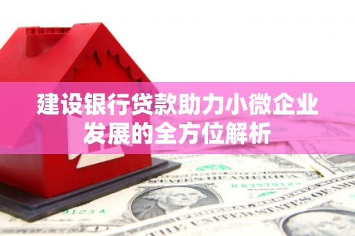 阿里建设银行贷款助力小微企业发展的全方位解析