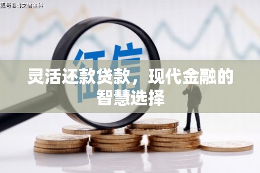 阿里灵活还款贷款，现代金融的智慧选择