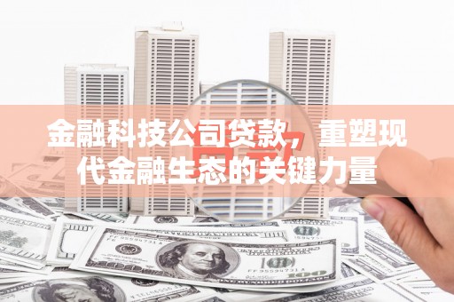 阿里金融科技公司贷款，重塑现代金融生态的关键力量