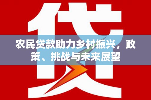 阿里农民贷款助力乡村振兴，政策、挑战与未来展望