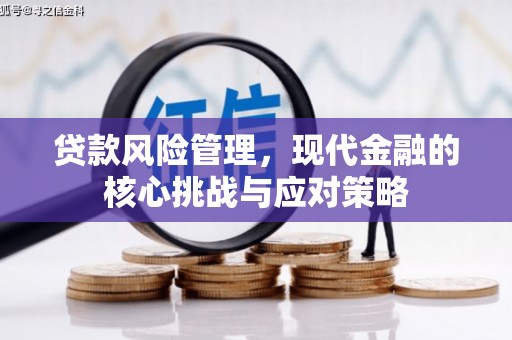 阿里贷款风险管理，现代金融的核心挑战与应对策略