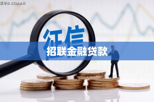 阿里招联金融贷款