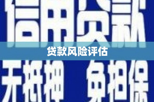 阿里贷款风险评估