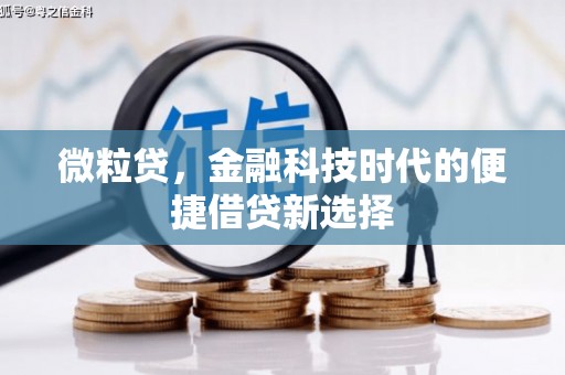 阿里微粒贷，金融科技时代的便捷借贷新选择
