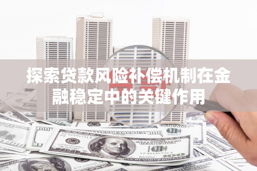 阿里探索贷款风险补偿机制在金融稳定中的关键作用