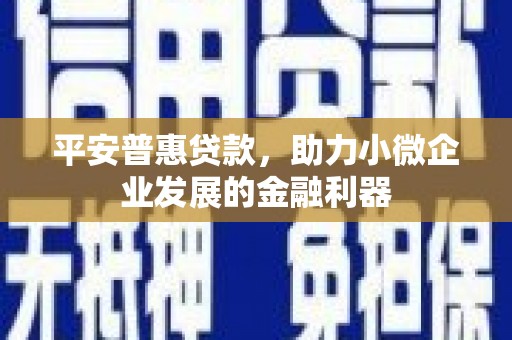 阿里平安普惠贷款，助力小微企业发展的金融利器