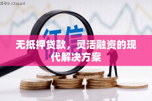 阿里无抵押贷款，灵活融资的现代解决方案