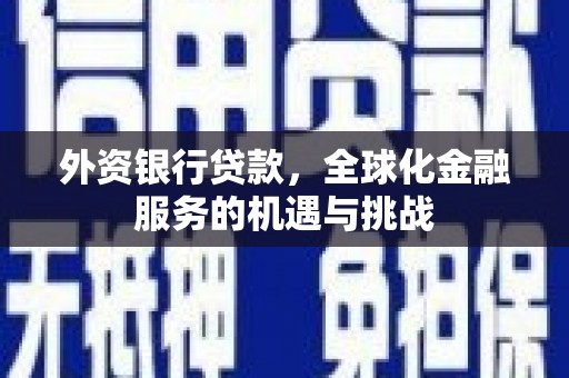 阿里外资银行贷款，全球化金融服务的机遇与挑战