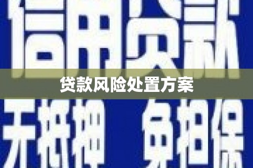 阿里贷款风险处置方案