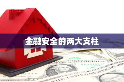 阿里金融安全的两大支柱