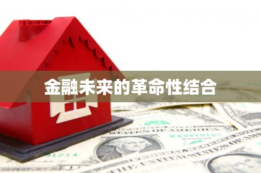 阿里金融未来的革命性结合