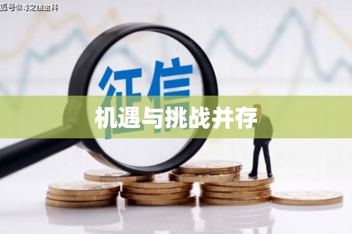 阿里机遇与挑战并存