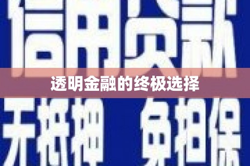 阿里透明金融的终极选择
