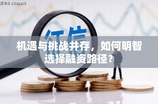 阿里机遇与挑战并存，如何明智选择融资路径？