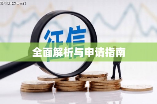 阿里全面解析与申请指南
