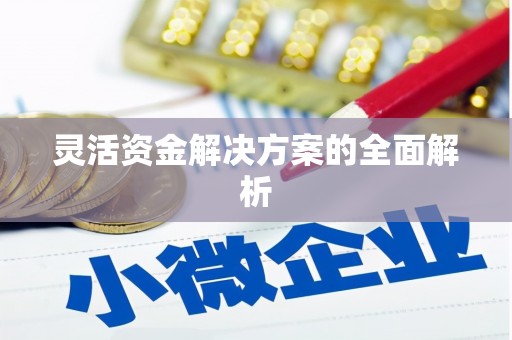 阿里灵活资金解决方案的全面解析