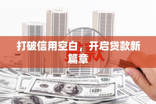 阿里打破信用空白，开启贷款新篇章
