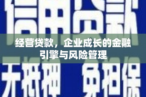 阿里经营贷款，企业成长的金融引擎与风险管理